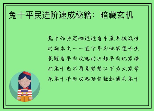 兔十平民进阶速成秘籍：暗藏玄机